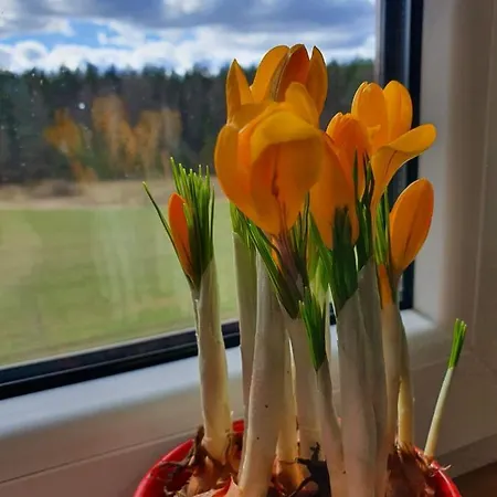 Сasa de vacaciones Kartkówka Unichowo