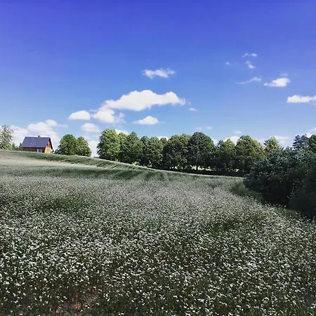 Nyaraló Kartkowka Unichowo