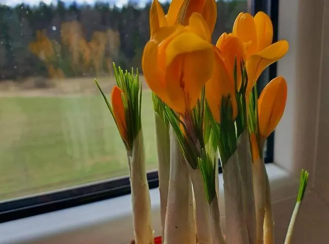 Prázdninový dům Kartkowka Unichowo